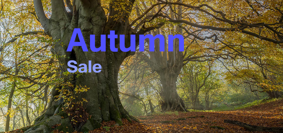 Autumn Sale 2024